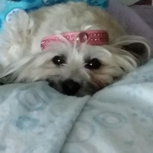 Meet your Posher, April